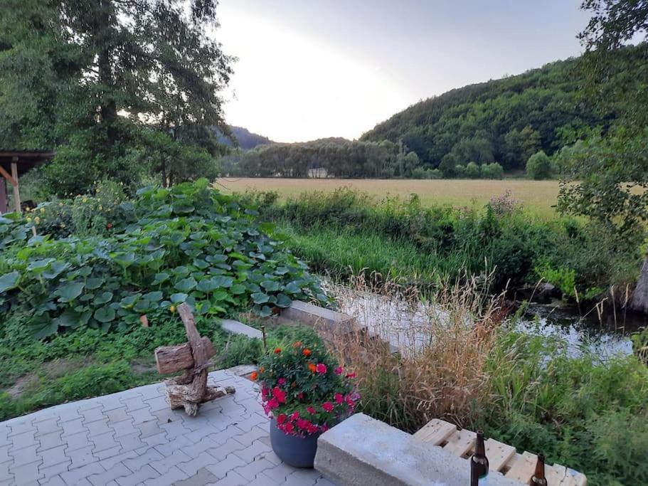 Lindenwohnung An Historischer Muehle Holzhausen  Bagian luar foto